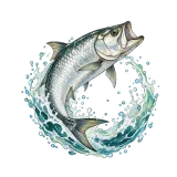 Tarpon badge