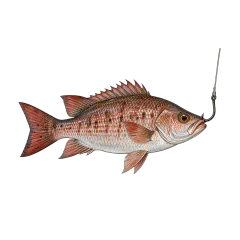 Live bait