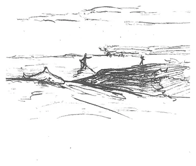 Shark fight from the Comer Key sandbar